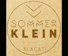 miselyum-art-avm-dekoratif-heykel-tasarimi